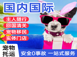 西双版纳航空物流国际宠物托运 【国